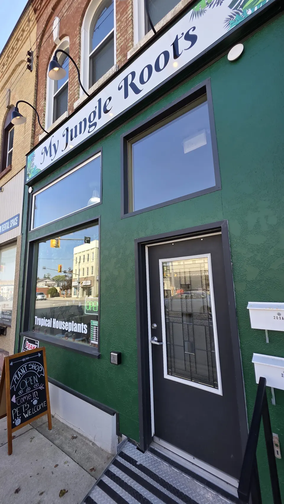 The My Jungle Roots storefront on 10th Street in Hanover: a green shopfront with the shop sign, big front windows and a chalkboard reading Plant Shop Open, Pets Welcome